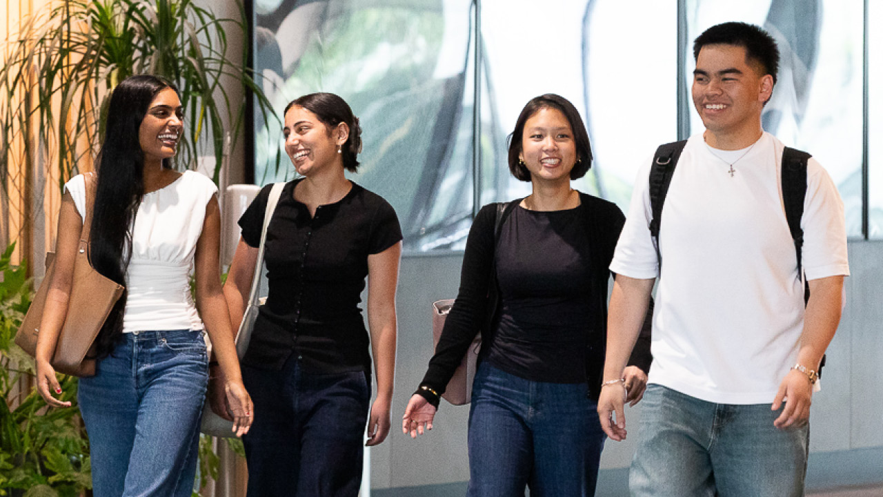 Four students walking to a lecture.