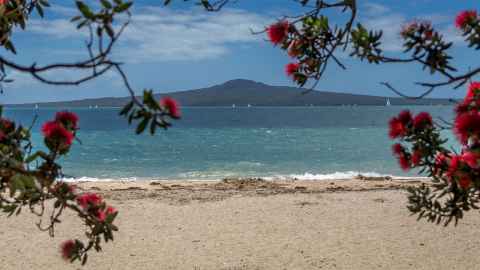 A view of Rangitoto Island from a white sandy beach and pohutukawa flowers in the foreground