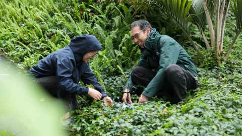 Yusuke Hioka in the field monitoring kiwi alongside doctoral candidate Yonghui Tao