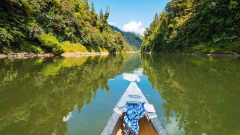 The Whanganui River from a boat on the river