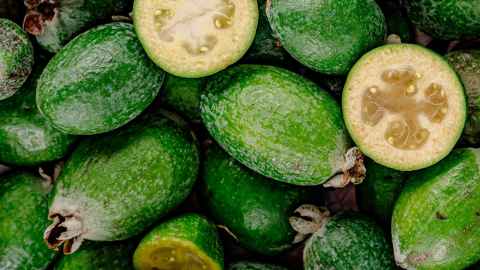 Feijoa