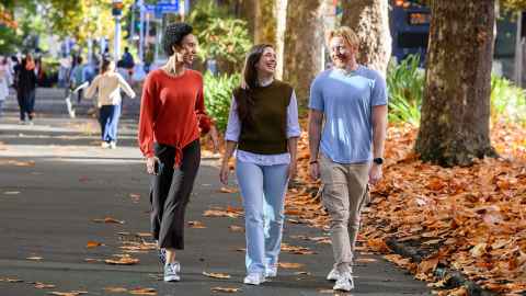 Students walking down leafy street.
