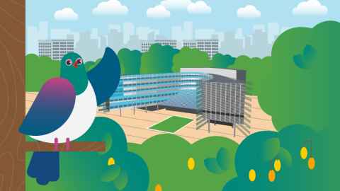 Drawing of Lou the Kereru superimposed over a sketch of the City Campus