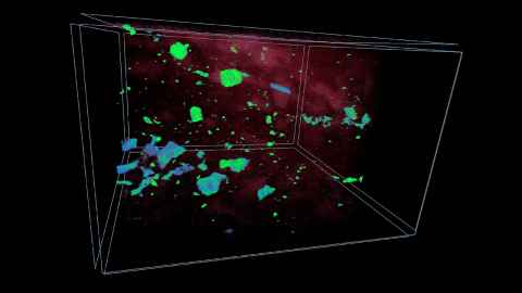 Particles in wet clay by Vicki Moon, Waikato - The particle distribution, shape and differing densities (colour coded) are revealed and quantifiable. Most alternative microscopic methods are unable to image wet samples in 3D.