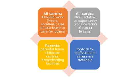 All carers: Flexible work (hours, location); Use of sick leave to care for others. All carers: Merit relative to opportunity (consideration of career breaks). Parents: Parental leave, childcare centres, breastfeeding facilities. Toolkits for staff/student carers are available.