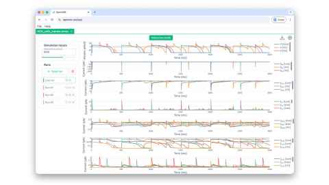 Screenshot showing simulations running natively on browser with LibOpenCOR.