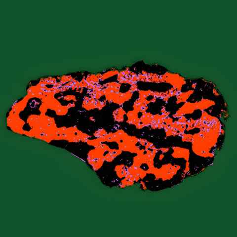 Leap of life by Shashika Chamod, Kenneth Tran, Toan Pham, Marie Ward & Vijay Rajagopal