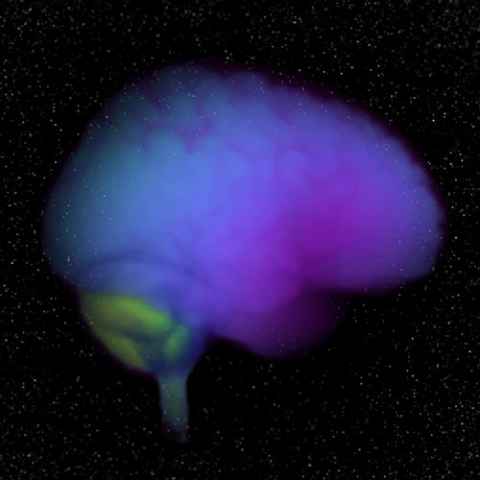 Intergalactic brain by Alireza Sharifzadeh-Kermani, Jiantao Shen, Debbie Zhao, Kekeyan Nanthakumar, Stephen Creamer and the Animus Lab