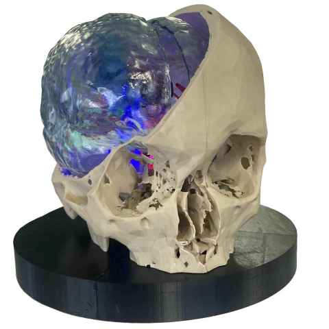 Mind unveiled by Callan Loomes, Hamid Abbasi, Alireza Sharifzadeh-Kermani & Maryam Tayebi