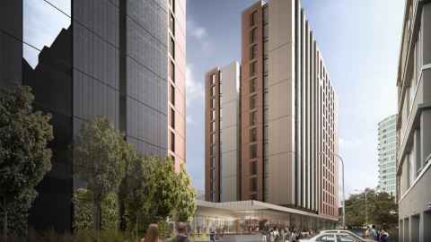 A Māori carving, with greenery in the background. 