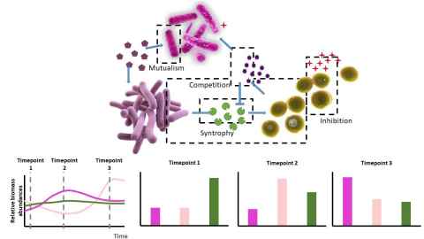 Schematic representation of a microbial community, what a metagenomic reading at a time point captures and how these readings will vary with time.
