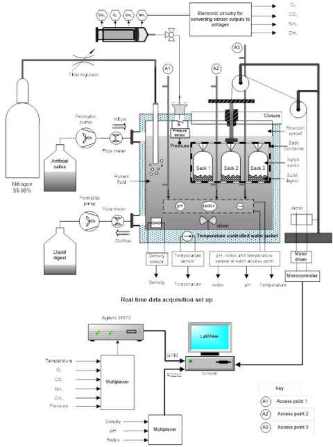 Real-time data acquisition set-up.