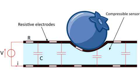 Diagram of a soft compression sensor mounted on a robotic gripper designed to handle fragile objects such as fruits or berries.