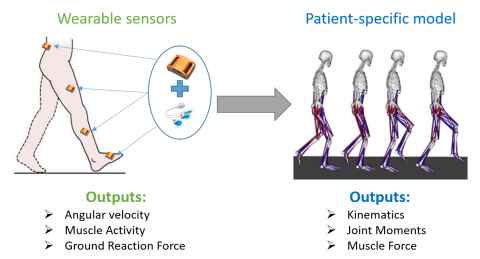 Wearable sensors