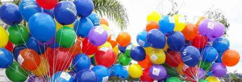 Rainbow balloons with University of Auckland logo from Pride Parade