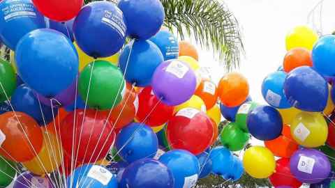Rainbow balloons with University of Auckland logo from Pride Parade