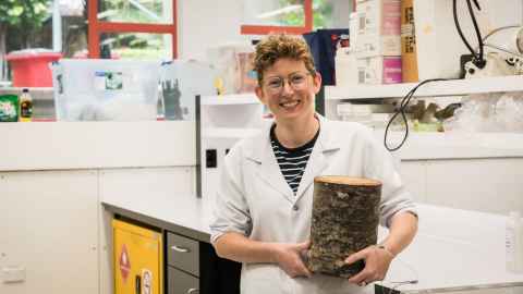 Sarah Killick in a lab, holding a section of kauri trunk.