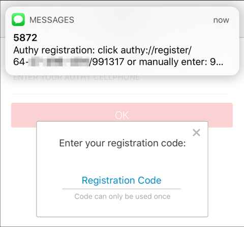 Screenshot of Authy - enter registration code