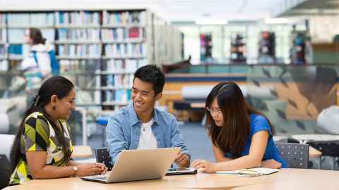 Students studying in the University of Auckland library