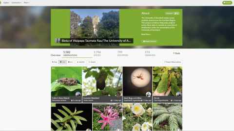 The University of Auckland home page on the iNaturalist website. It includes a dashboard of observations and photos submitted by users.