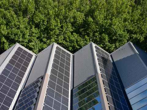 A photo of several small hut-like buildings that are fenced off with orange cones, located at a water treatment plant