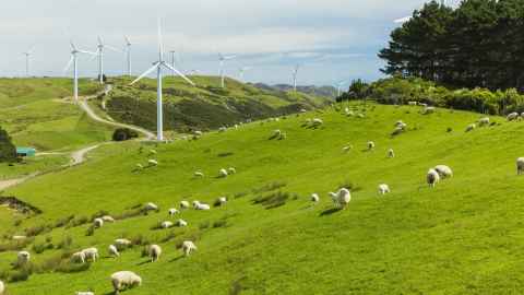 Wind turbines in a field of sheep, at Makara on Wellington's western coast