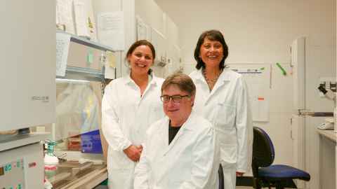 Dr Tamasin Taylor, Professor Peter Shepherd and Dr Ofa Dewes