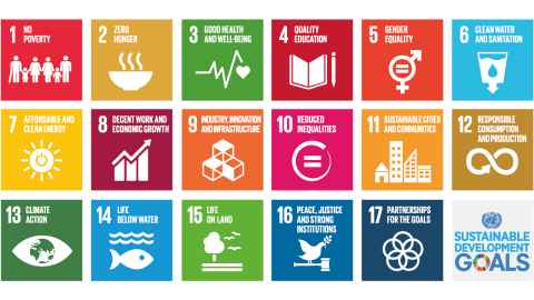 Sustainable Development Goals