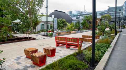 Wynyard street landscaping