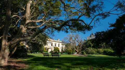 Trees and lawn outside Old Government House