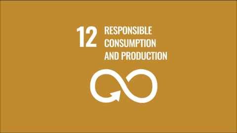 SDG12 logo