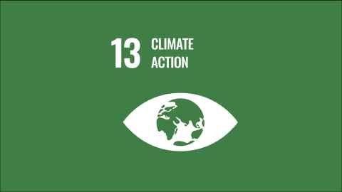SDG13 logo