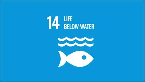 SDG14 logo