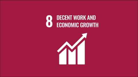 SDG8 logo
