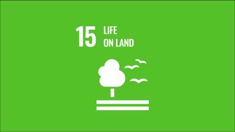 SDG15 logo