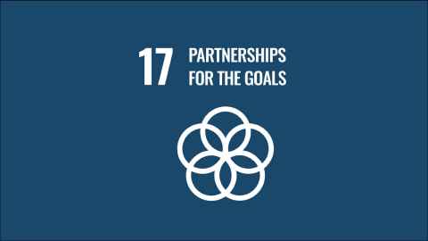 SDG17 logo
