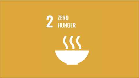SDG2 logo