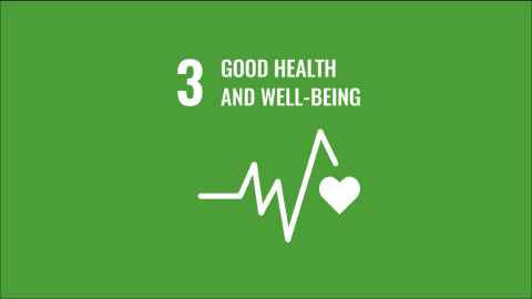 SDG3 logo