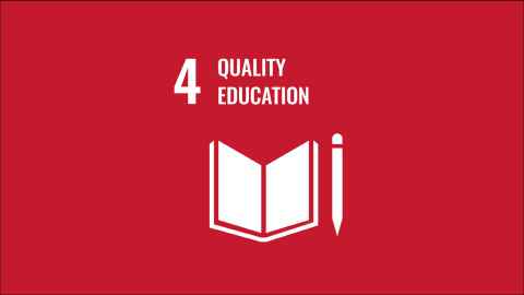 SDg4 logo