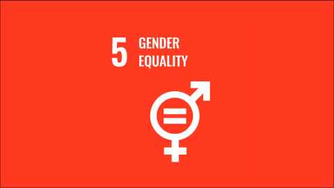SDg5 logo