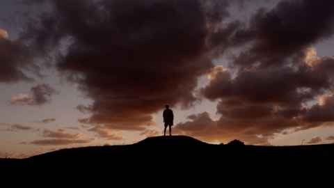 A figure in shadow, standing on a hill in twilight.