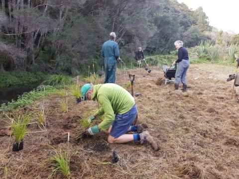 Conservation working bee at Matuku Link Reserve, Te Henga