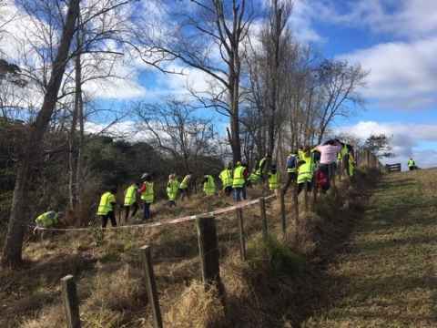 Alumni help Sustainable Business Network and Conservation Volunteers NZ to plant trees at Omaru Stream 