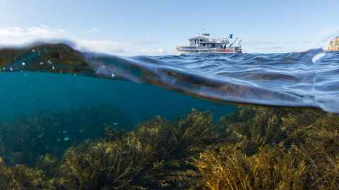 The University's research vessel, Te Kaihōpara, lies at anchor at Poor Knights Islands Marine Reserve while divers explore.