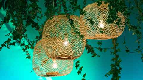 Image of hanging lights with green vines draped around them in front of a turquoise background.