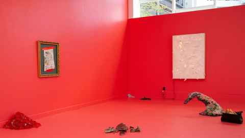 Artwork by Sue Nelson titled Flesh of all Things, artwork contains multiple sculptures placed around a room with a painted red floor and walls.