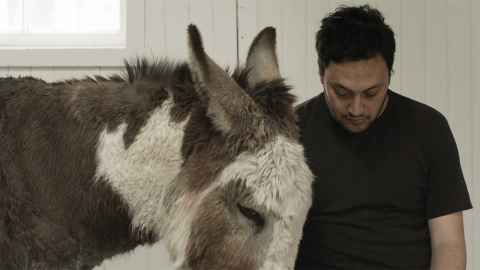 Shannon sits with his head bowed with a donkey at his side