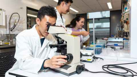 Engineering student looking through microscope