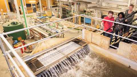 A water engineering facility.