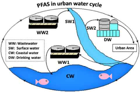 Figure 2: From Ms. Lenka's article "Occurrence and fate of poly- and perfluoroalkyl substances (PFAS) in urban waters of New Zealand." January 2022